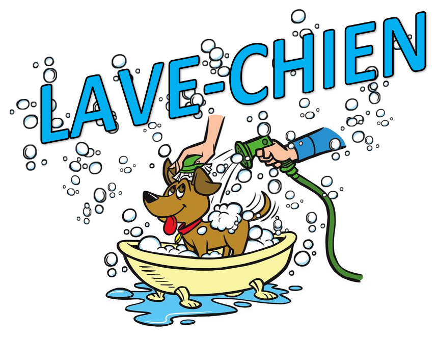 Permalien vers:Lave-Chien